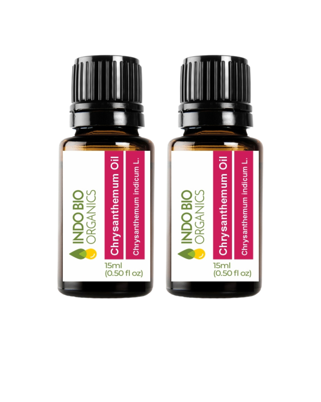 Chrysanthemum Oil