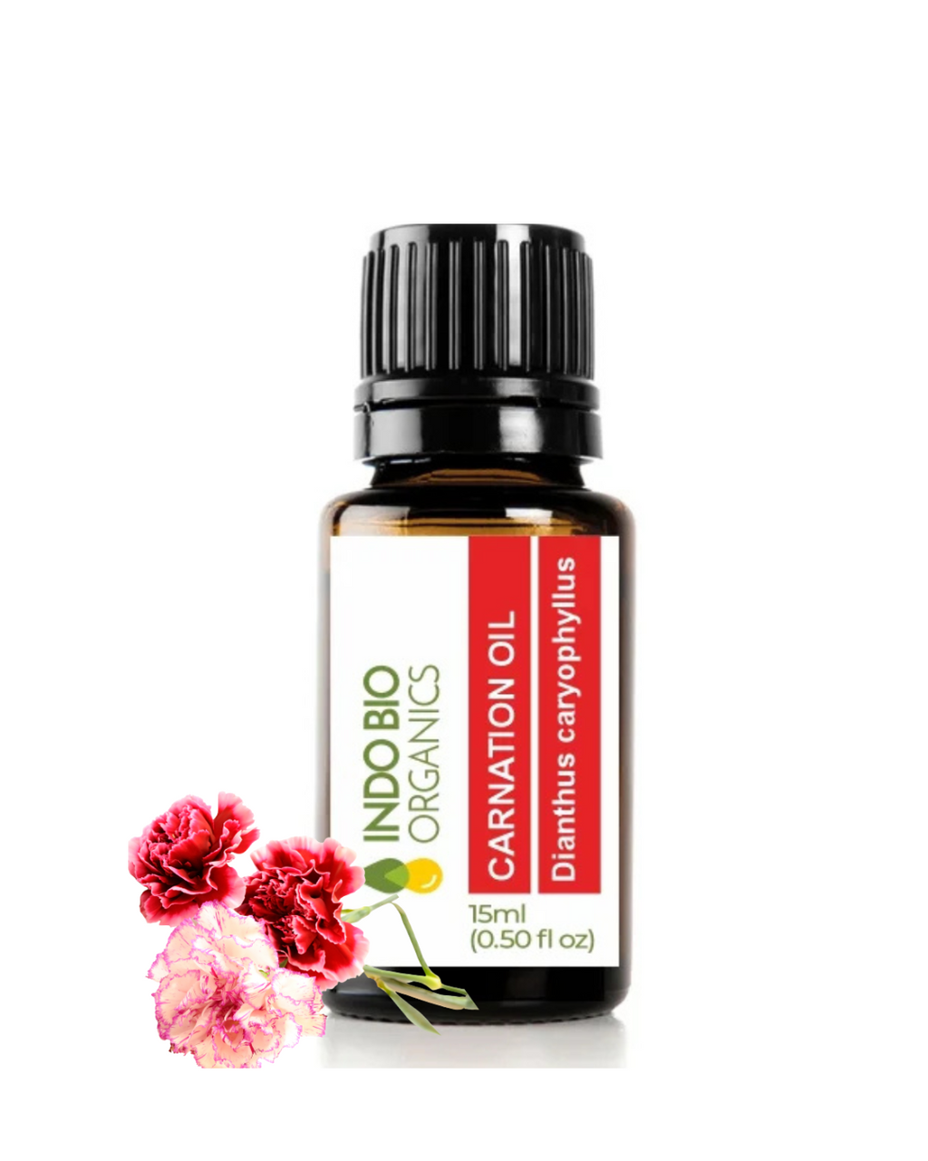 Carnation Oil