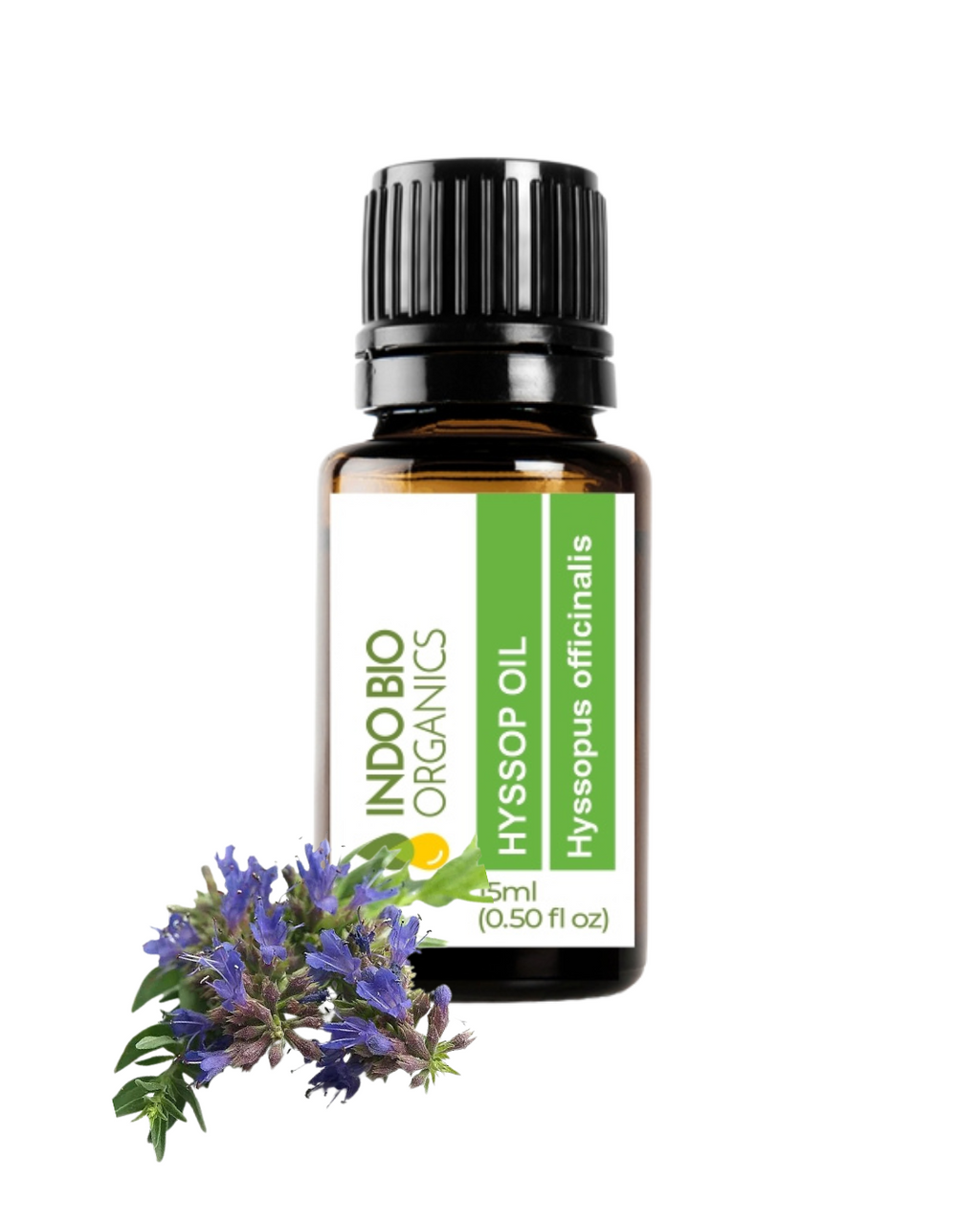 Hyssop Oil