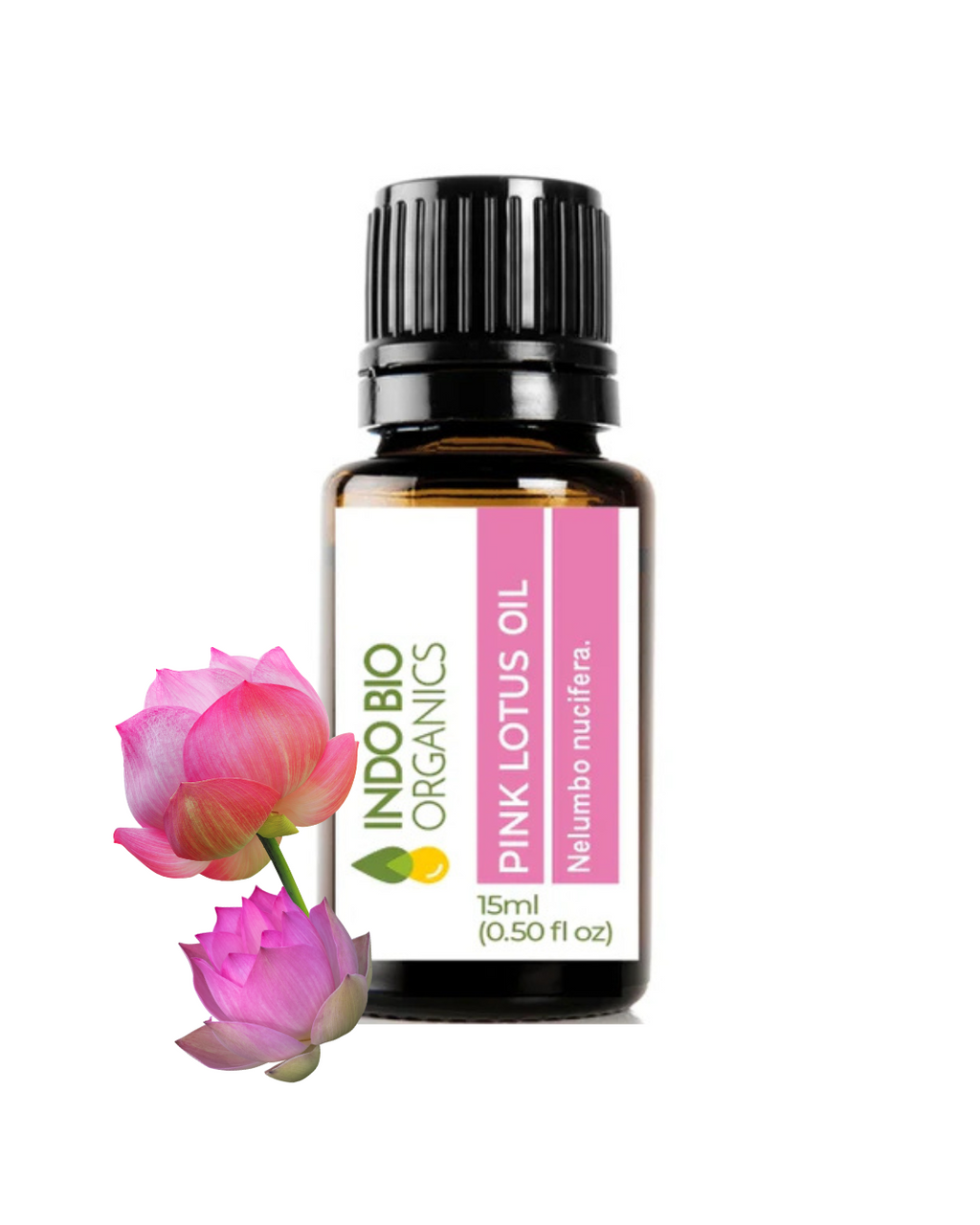 Pink Lotus Oil
