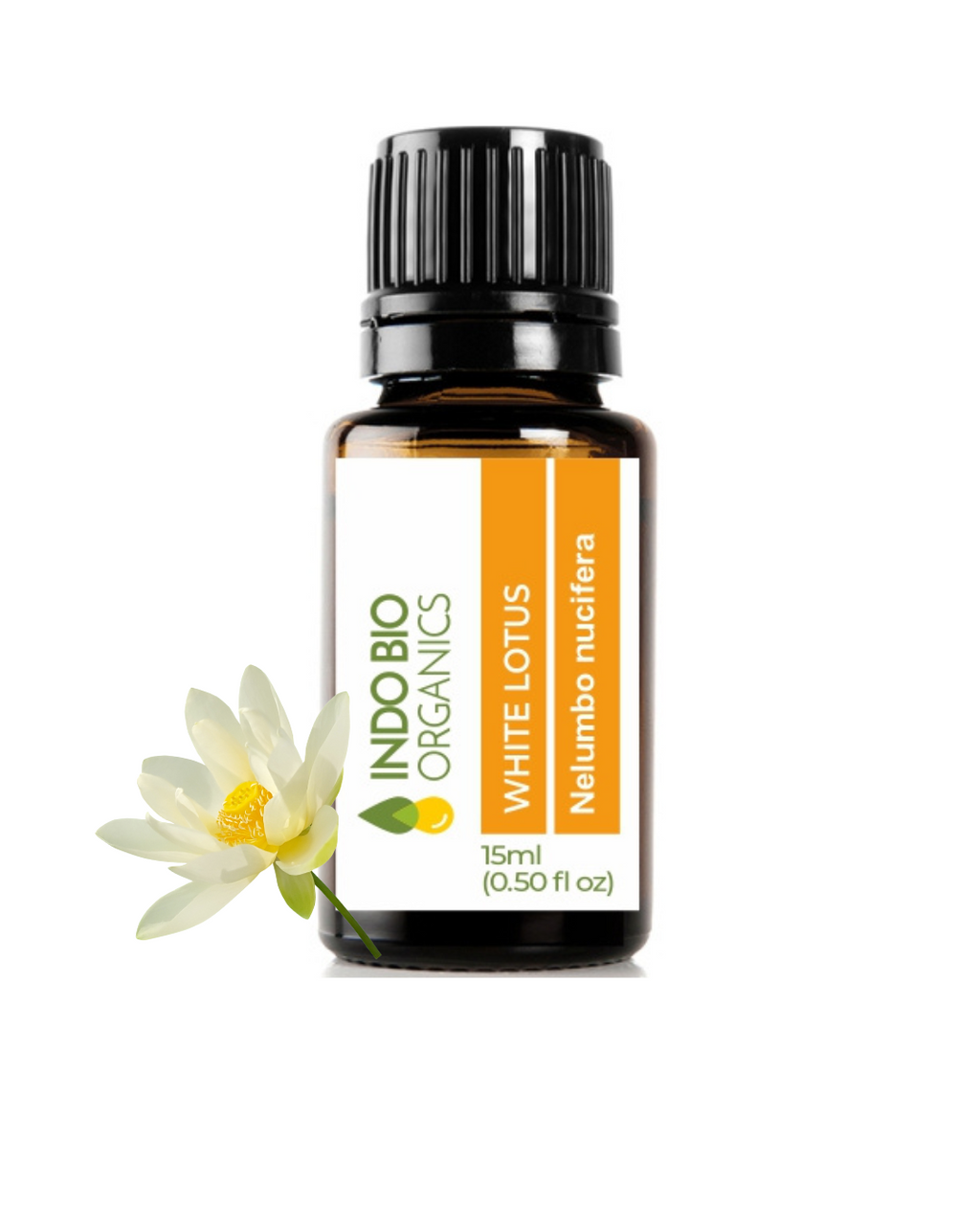 White Lotus Oil