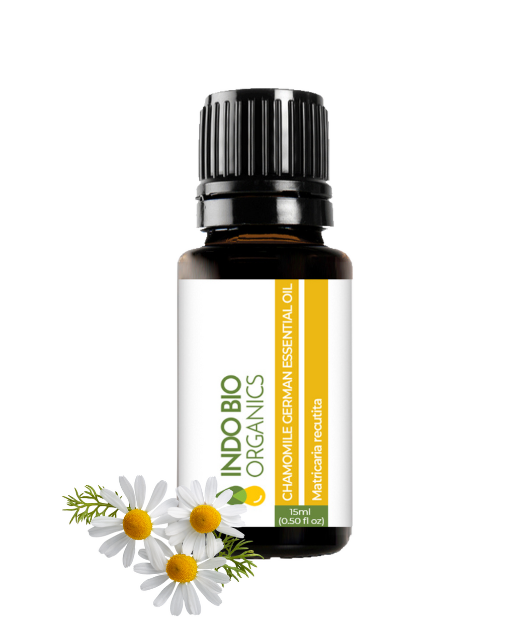 Chamomile Oil