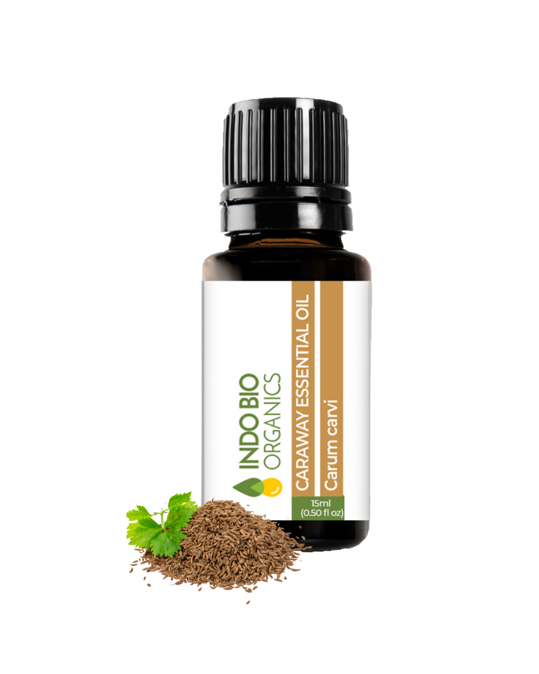 Caraway Oil