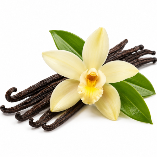 VANILLA FRAGRANCE OIL