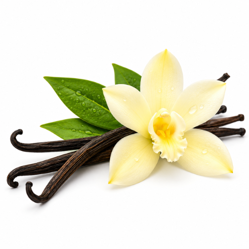 VANILLA HYDROSOL