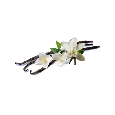 VANILLA HYDROSOL