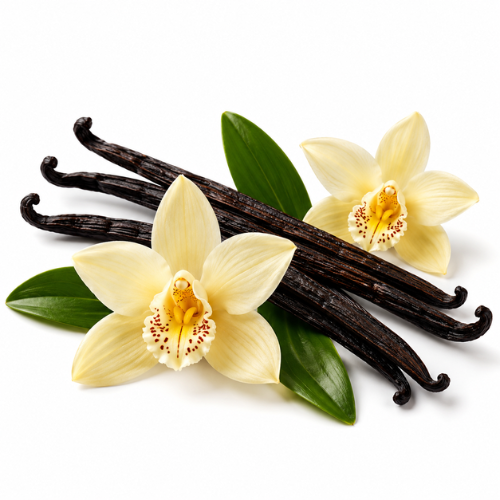 VANILLA INFUSED OIL