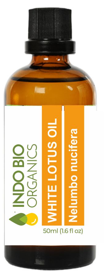 White Lotus Oil
