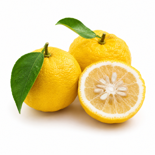 YUZU ESSENTIAL OIL