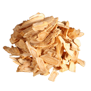 ANGELICA ROOT ESSENTIAL OIL