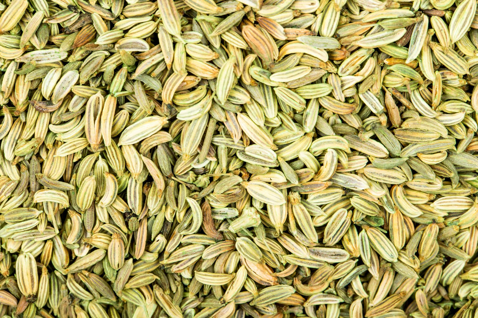ANISE ESSENTIAL OIL