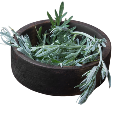 ARMOISE ESSENTIAL OIL