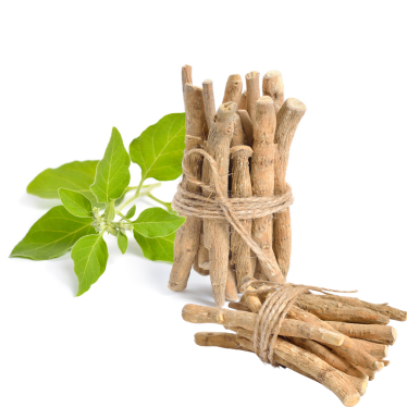 ASHWAGANDHA OIL