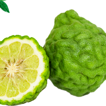 BERGAMOT ESSENTIAL OIL
