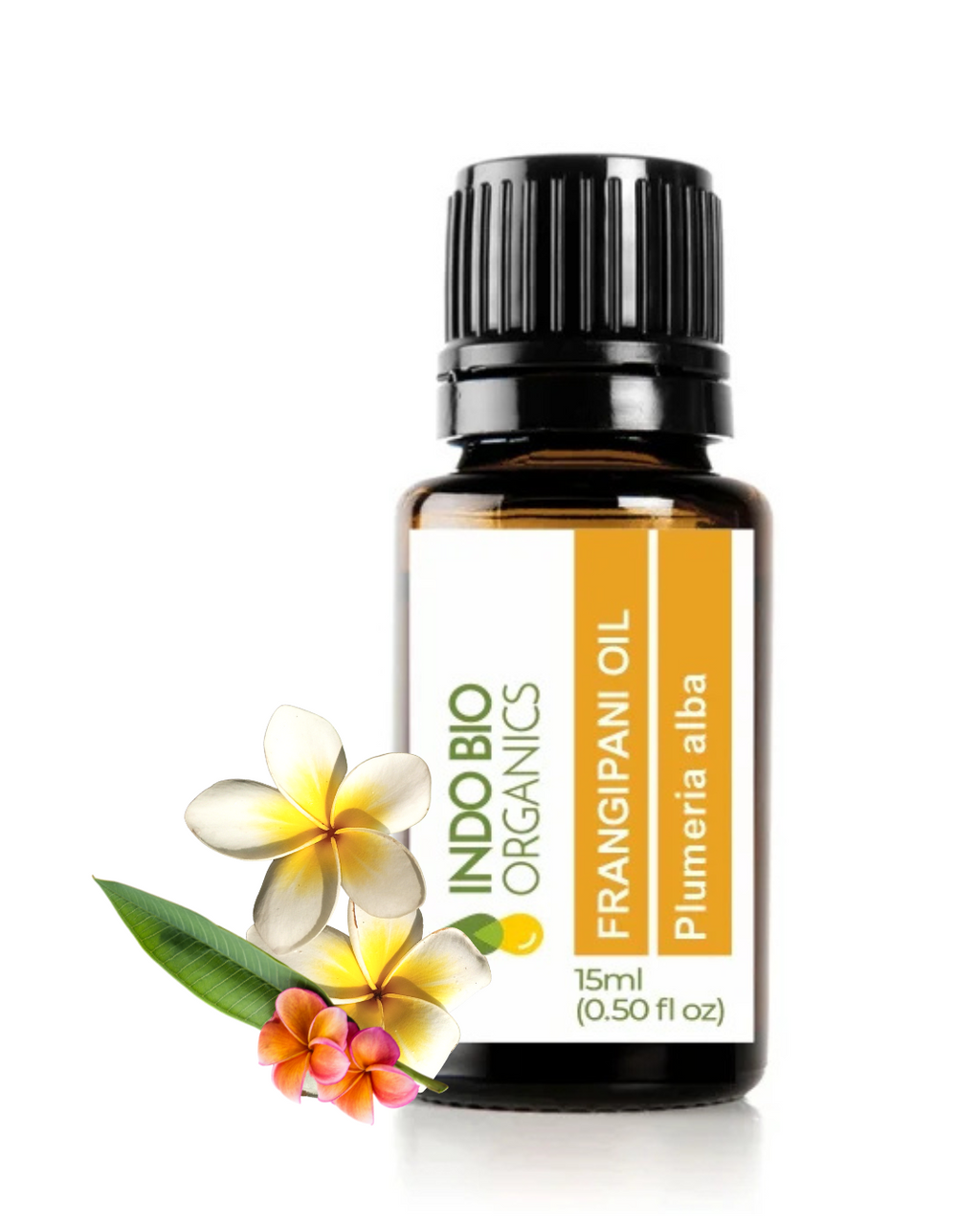 Frangipani Oil