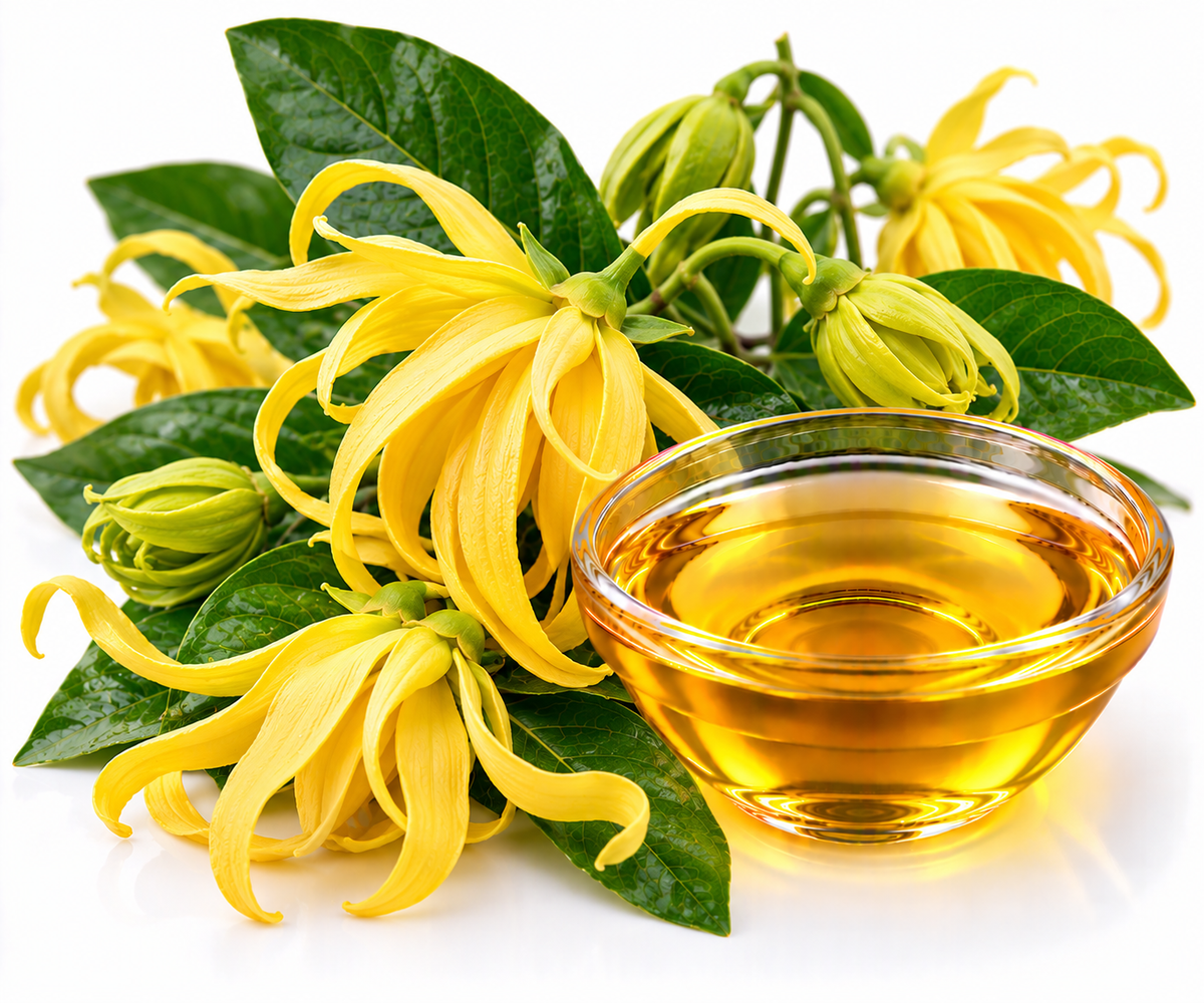 YLANG YLANG ESSENTIAL OIL