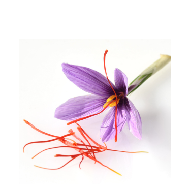 SAFFRON (KESAR) OIL