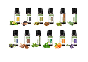 FALL ALL THE WAY (PREMIUM SET OF 12x15ML)