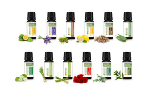 HOME SWEET HOME  (PREMIUM SET OF 12X15ML)