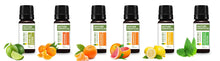 Load image into Gallery viewer, CITRUS BLAST (PREMIUM SET OF 6X15ML)