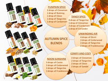 Load image into Gallery viewer, AUTUMN SPICE COLLECTION (PREMIUM SET OF 12x15ML)