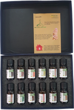 Load image into Gallery viewer, AUTUMN SPICE COLLECTION (PREMIUM SET OF 12x15ML)