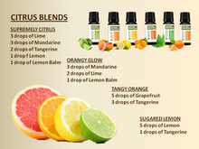 Load image into Gallery viewer, CITRUS BLAST (PREMIUM SET OF 6X15ML)