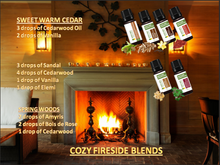 Load image into Gallery viewer, COZY FIRESIDE (PREMIUM SET OF 6X15ML)