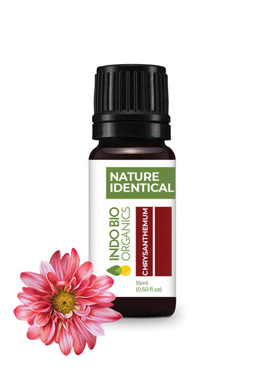 Chrysanthemum Oil