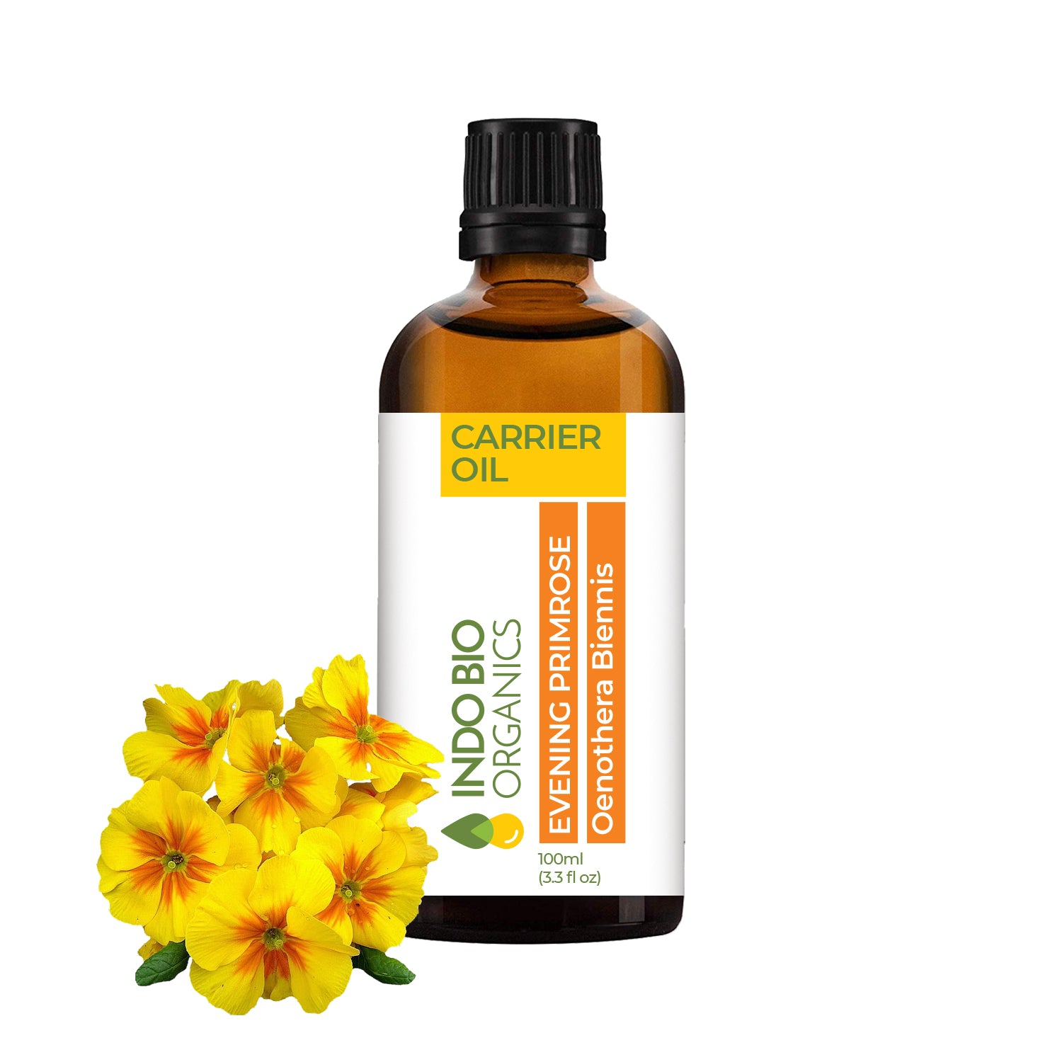 Evening Primrose Oil