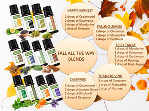 FALL ALL THE WAY (PREMIUM SET OF 12x15ML)