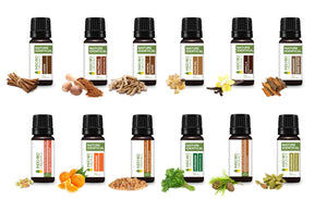 AUTUMN SPICE COLLECTION (PREMIUM SET OF 12x15ML)