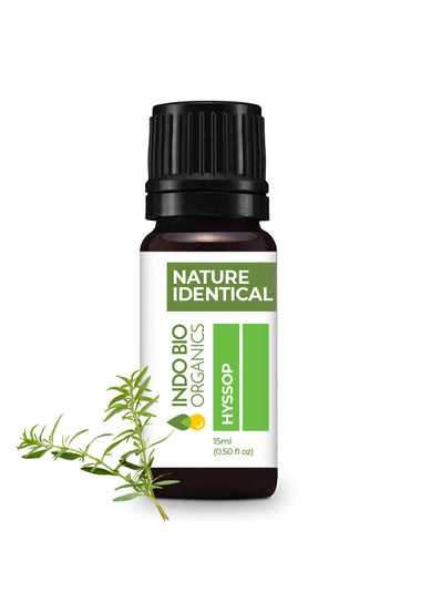 Hyssop Oil