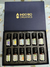 Load image into Gallery viewer, Go Green -Home Cleanser (Premium Set of 12 Oils)