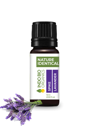 Spike Lavender Oil