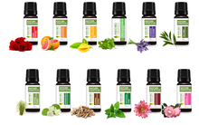 Load image into Gallery viewer, THE FLAMBOYANT COLLECTION (PREMIUM SET OF 12x15ML)