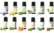 Load image into Gallery viewer, Go Green -Home Cleanser (Premium Set of 12 Oils)