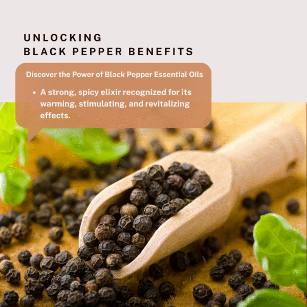 BLACK PEPPER ESSENTIAL OIL - Image 6
