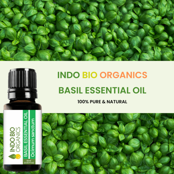 BASIL ESSENTIAL OIL SWEET - Image 4