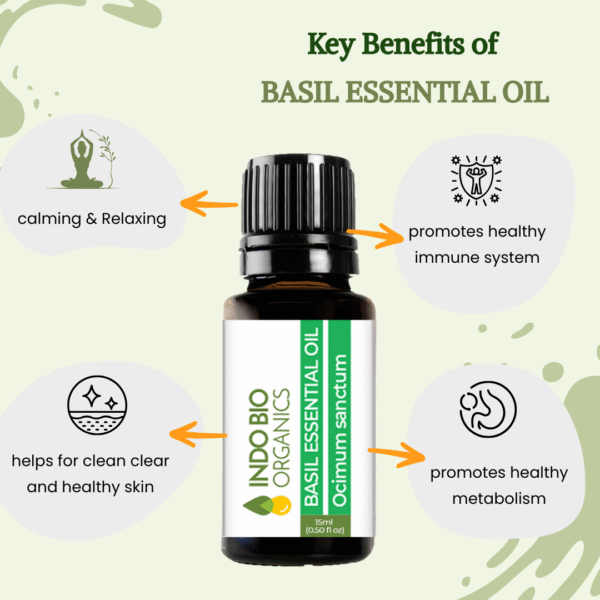 BASIL ESSENTIAL OIL SWEET - Image 5