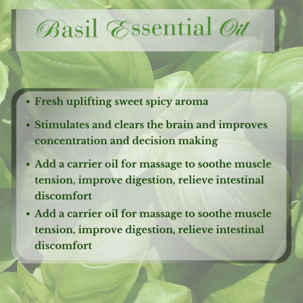 BASIL ESSENTIAL OIL SWEET - Image 2