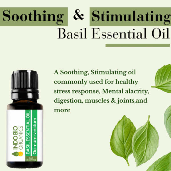 BASIL ESSENTIAL OIL SWEET - Image 3