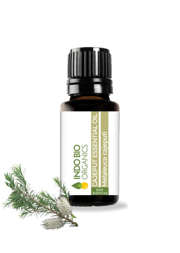 CAJEPUT ESSENTIAL OIL