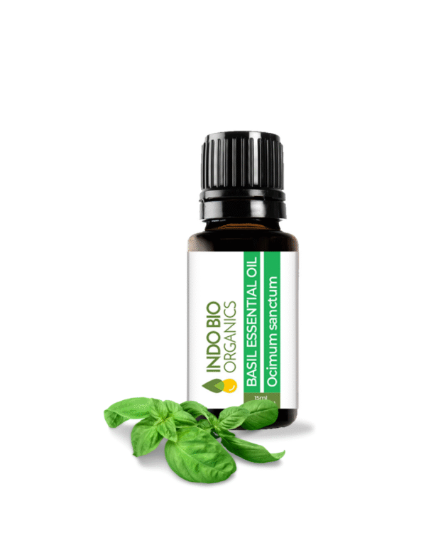 BASIL ESSENTIAL OIL SWEET