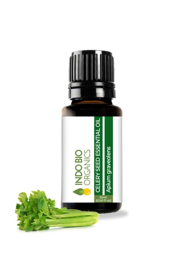 CELERY SEED ESSENTIAL OIL