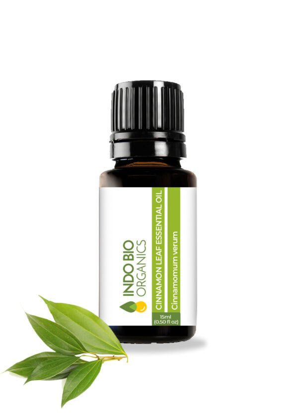 CINNAMON LEAF ESSENTIAL OIL