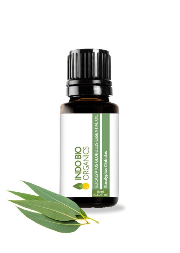 EUCALYPTUS ESSENTIAL OIL